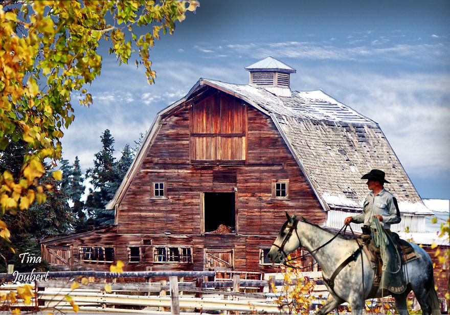 In And Around Calgary Alberta In And Around Calgary Alberta