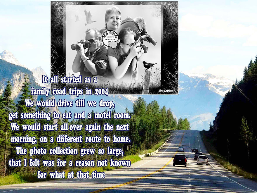 In And Around Calgary Alberta