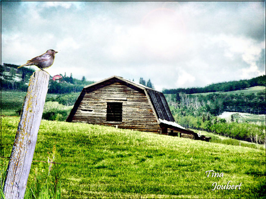 In And Around Calgary Alberta In And Around Calgary Alberta