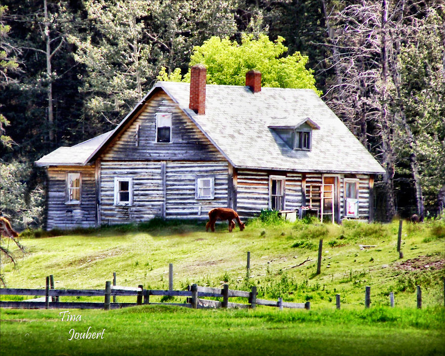 In And Around Calgary Alberta