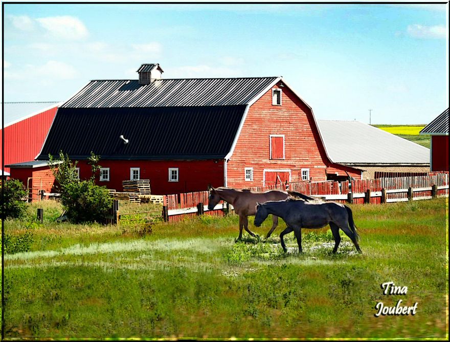 In And Around Calgary Alberta