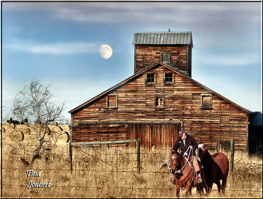 In And Around Calgary Alberta