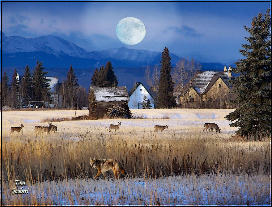 In And Around Calgary Alberta In And Around Calgary Alberta