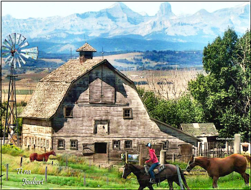 In And Around Calgary Alberta