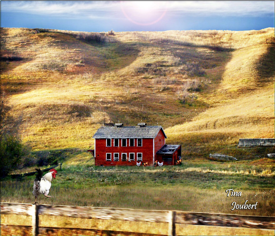 In And Around Calgary Alberta In And Around Calgary Alberta