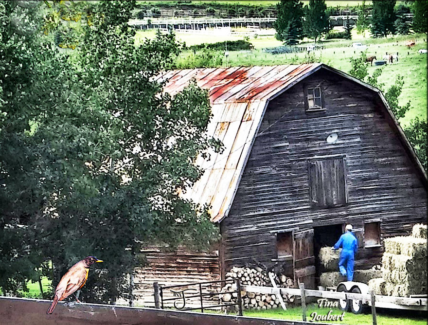 In And Around Calgary Alberta In And Around Calgary Alberta