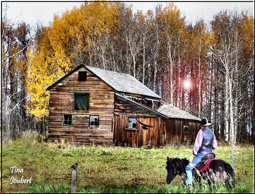In And Around Calgary Alberta In And Around Calgary Alberta