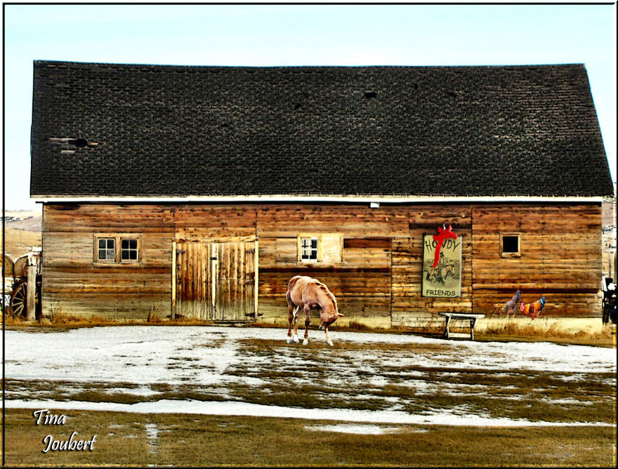 In And Around Calgary Alberta