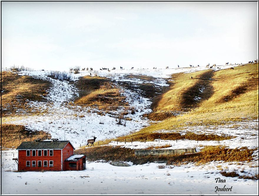 In And Around Calgary Alberta