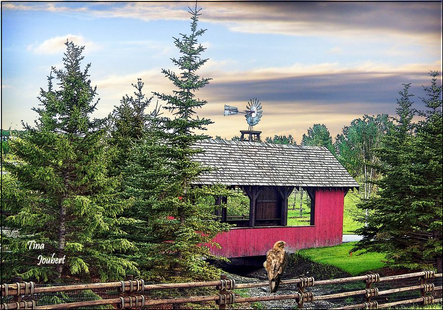 In And Around Calgary Alberta