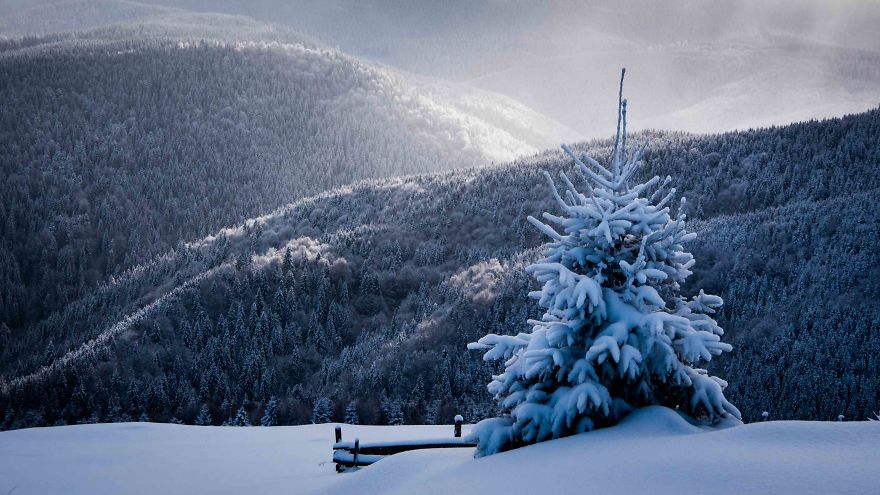 I Spent One Winter Capturing Magical Views Of Romania