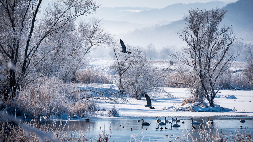 I Spent One Winter Capturing Magical Views Of Romania