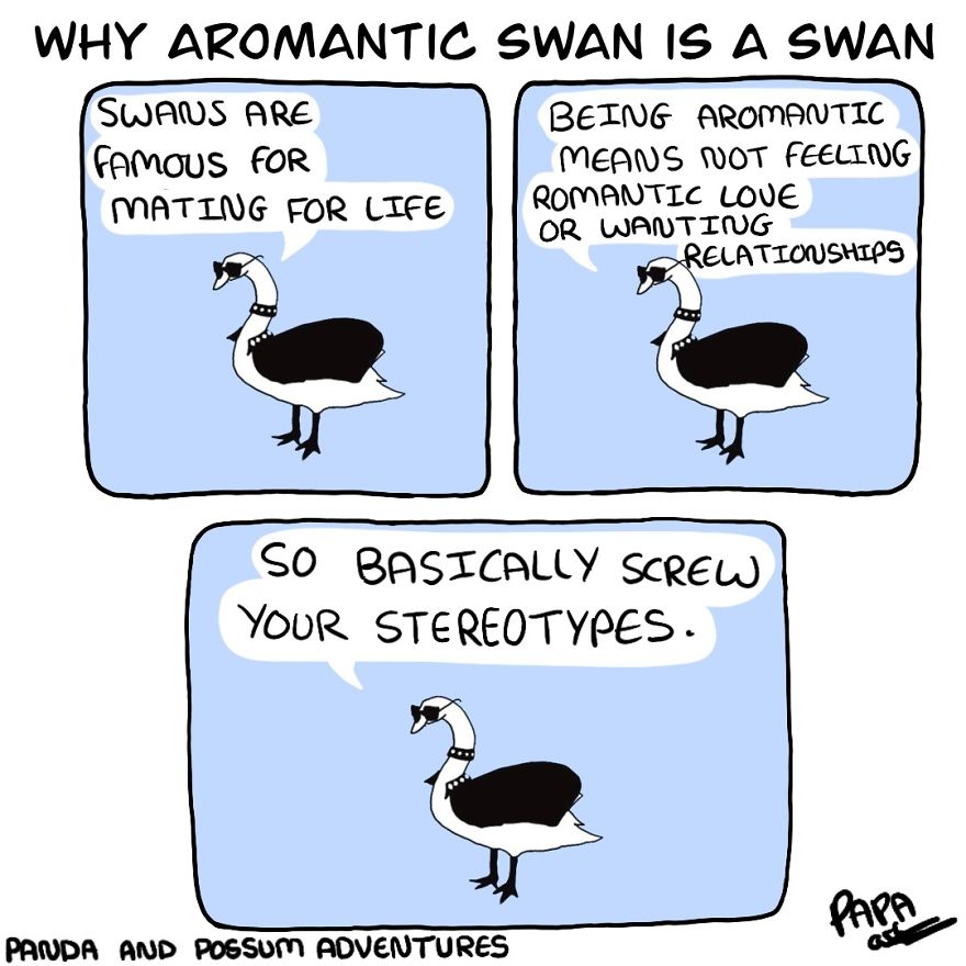 Panda And Possum Adventures- Webcomic