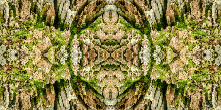 I Create Compositions Illustrating The Abstract Beauty Of Nature