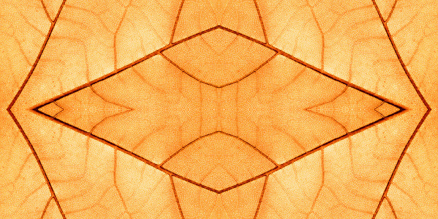 I Create Compositions Illustrating The Abstract Beauty Of Nature