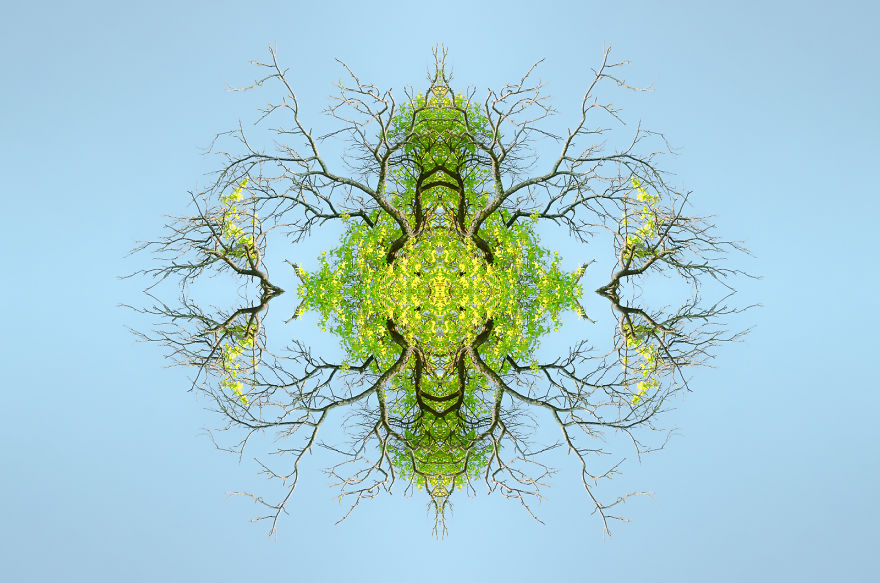 I Create Compositions Illustrating The Abstract Beauty Of Nature I Create Compositions Illustrating The Abstract Beauty Of Nature