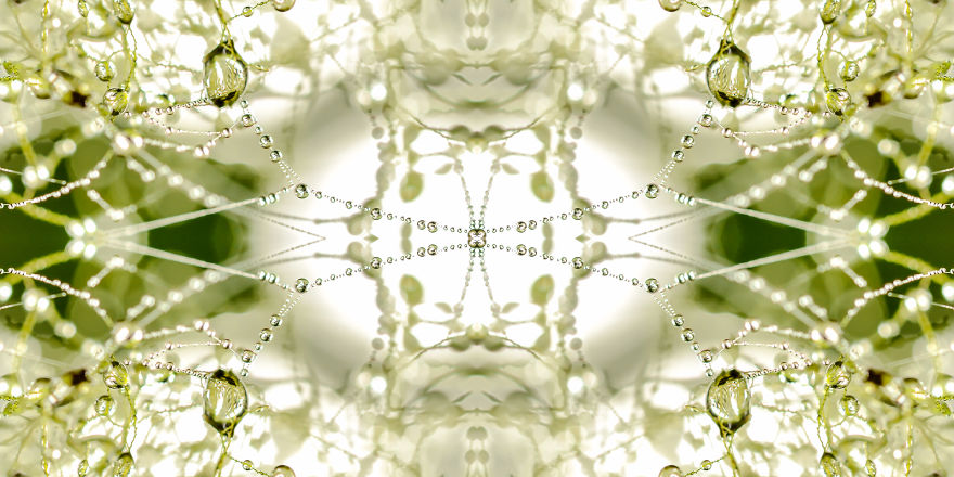 I Create Compositions Illustrating The Abstract Beauty Of Nature I Create Compositions Illustrating The Abstract Beauty Of Nature