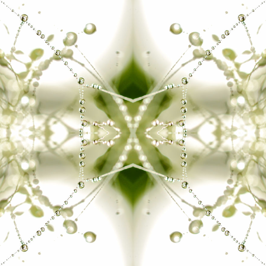 I Create Compositions Illustrating The Abstract Beauty Of Nature