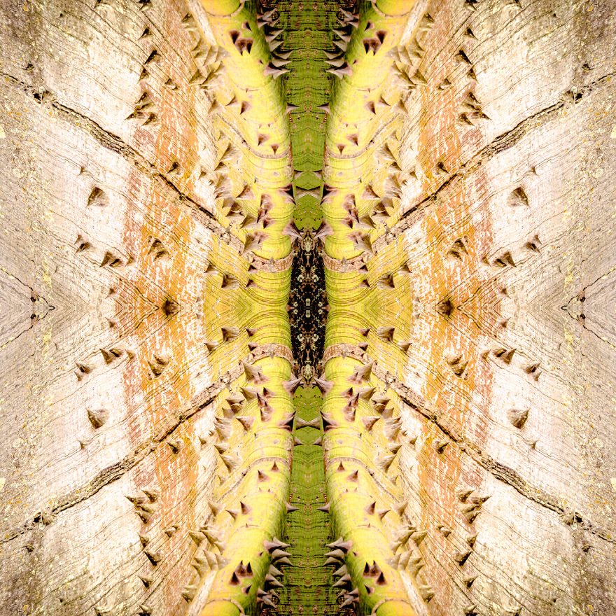 I Create Compositions Illustrating The Abstract Beauty Of Nature