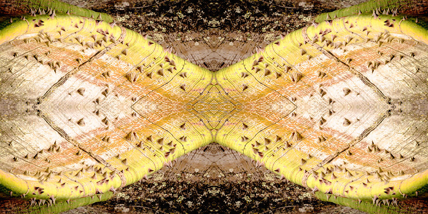 I Create Compositions Illustrating The Abstract Beauty Of Nature I Create Compositions Illustrating The Abstract Beauty Of Nature