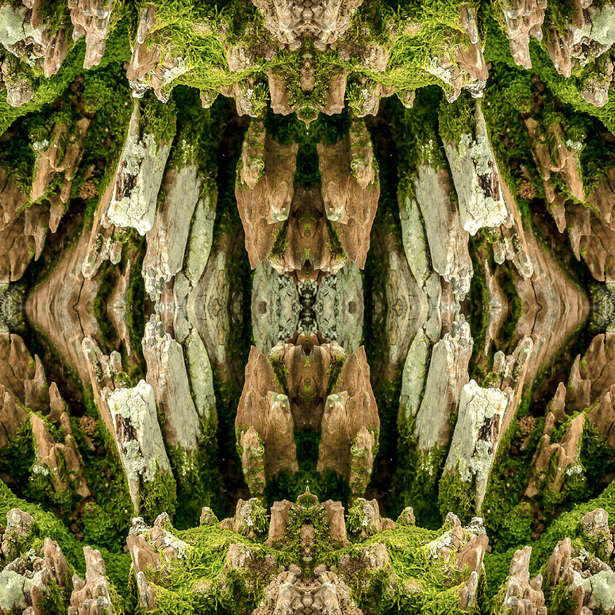 I Create Compositions Illustrating The Abstract Beauty Of Nature