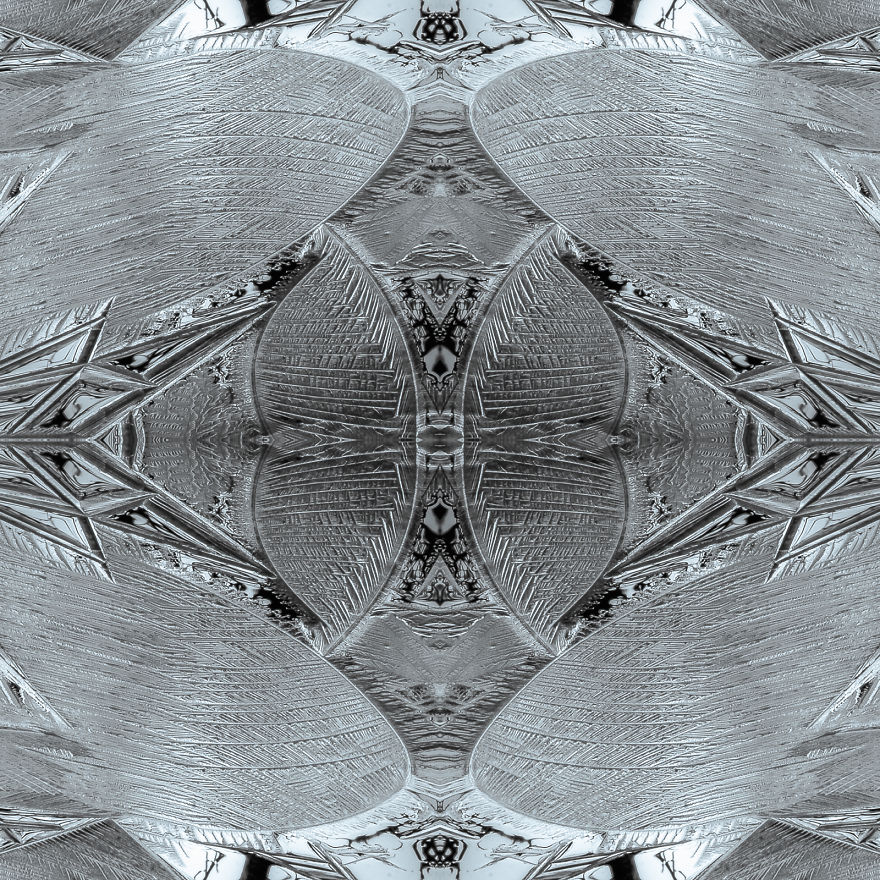 I Create Compositions Illustrating The Abstract Beauty Of Nature