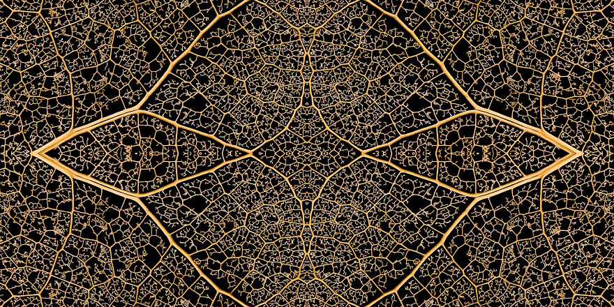 I Create Compositions Illustrating The Abstract Beauty Of Nature I Create Compositions Illustrating The Abstract Beauty Of Nature