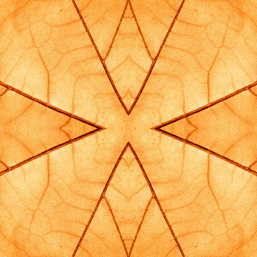 I Create Compositions Illustrating The Abstract Beauty Of Nature