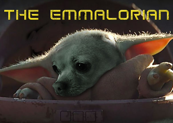 The-Emmalorian-5e77943629ba9.jpg