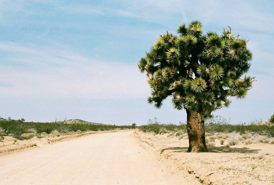 The Road To Rainbow Basin, California