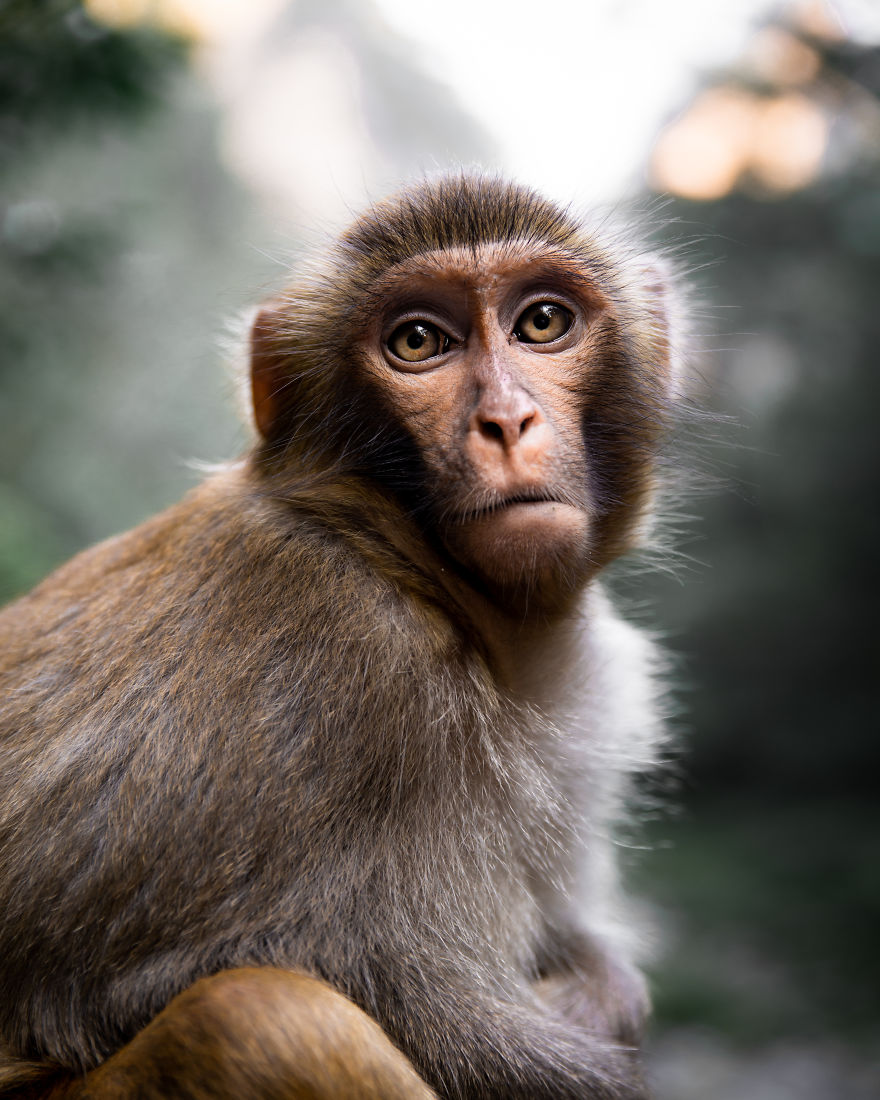 The Look In His Eyes Says Everything