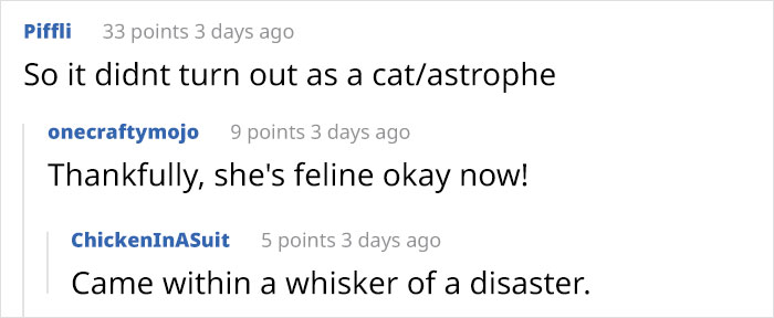 Owners Share Hilarious Pic Of Their "Missing" Cat That They Couldn't Find Anywhere