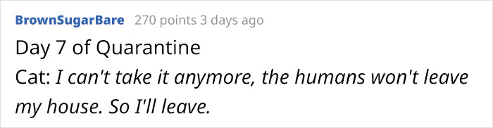 Owners Share Hilarious Pic Of Their "Missing" Cat That They Couldn't Find Anywhere Owners Share Hilarious Pic Of Their "Missing" Cat That They Couldn't Find Anywhere