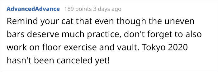 Owners Share Hilarious Pic Of Their "Missing" Cat That They Couldn't Find Anywhere Owners Share Hilarious Pic Of Their "Missing" Cat That They Couldn't Find Anywhere