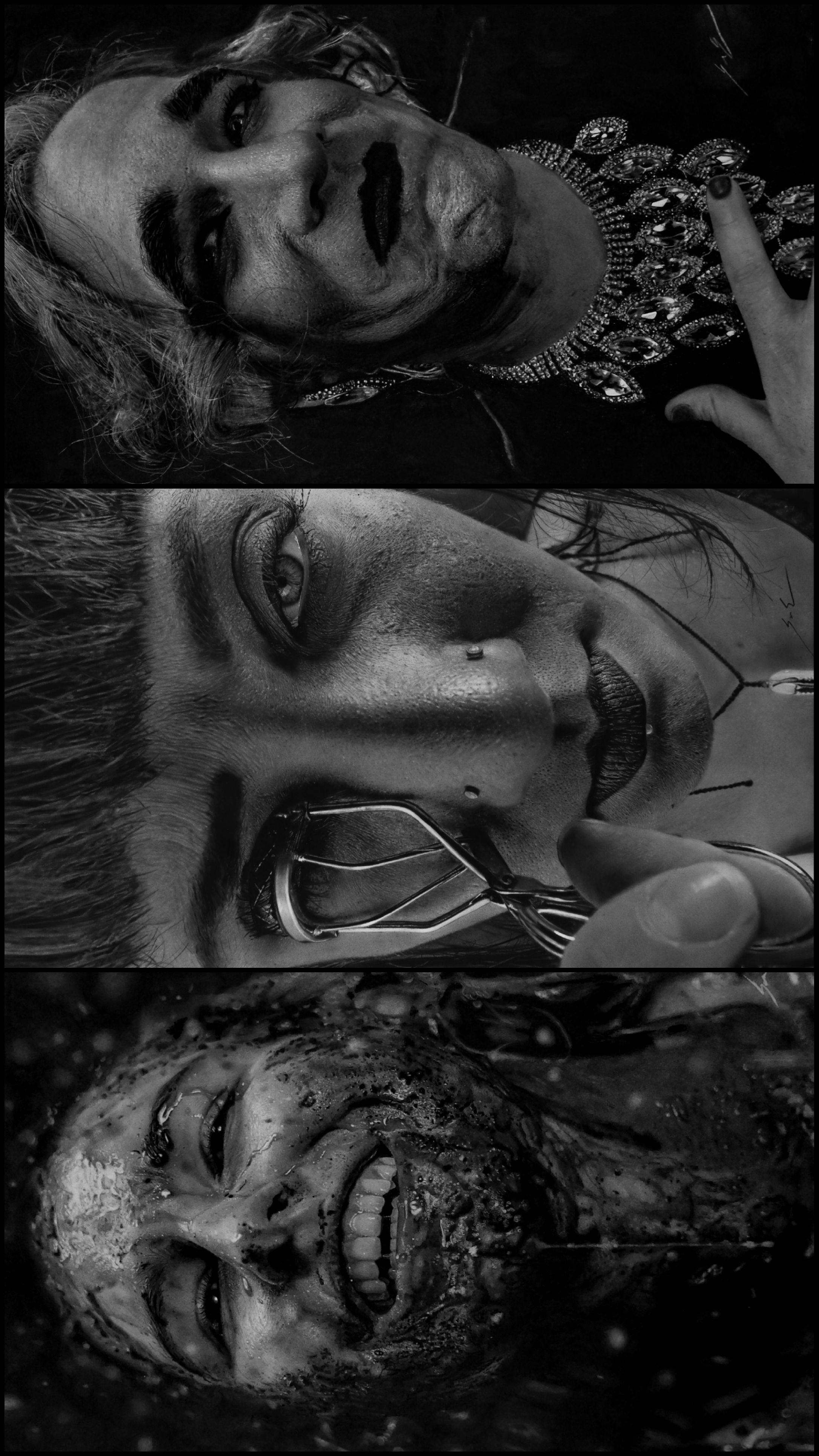 These Are Not Photographs. I Spend Hundreds Of Hours Creating Drawings With Charcoal And Graphite Pencils. This Is My Work.