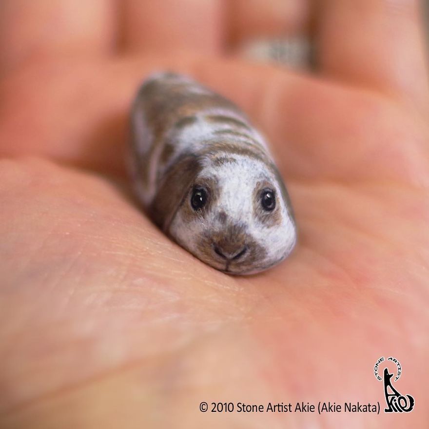 This Japanese Artist Turns Stones Into Art And The Result Is Incredible (New Pics)