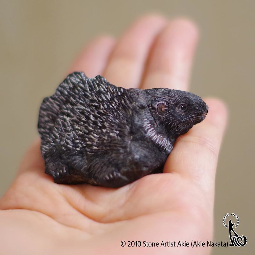 This Japanese Artist Turns Stones Into Art And The Result Is Incredible (New Pics)