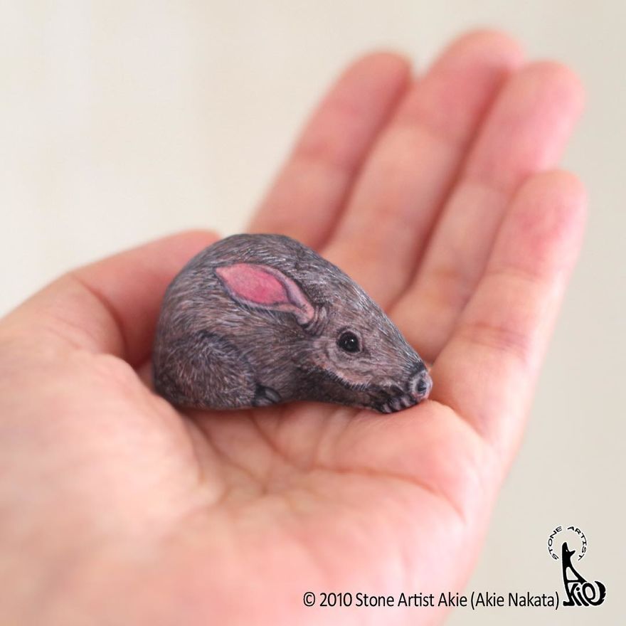 This Japanese Artist Turns Stones Into Art And The Result Is Incredible (New Pics)