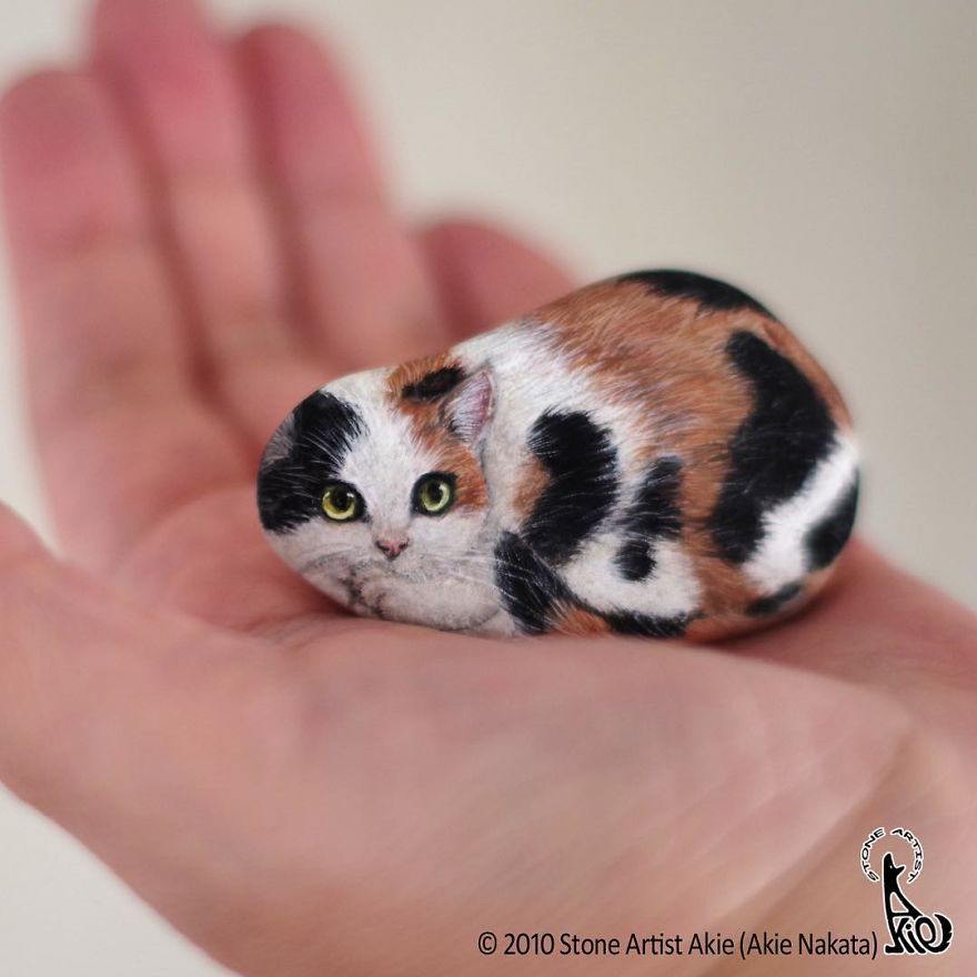 This Japanese Artist Turns Stones Into Art And The Result Is Incredible (New Pics)