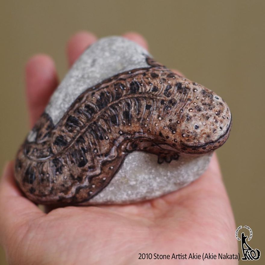 This Japanese Artist Turns Stones Into Art And The Result Is Incredible (New Pics)