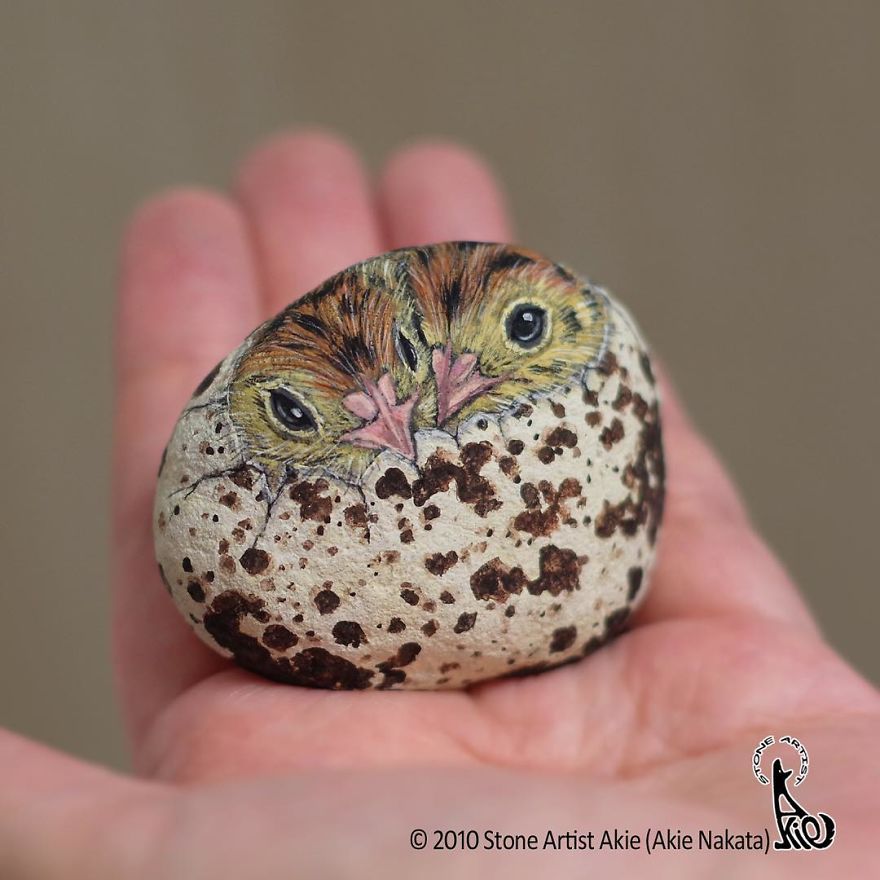 This Japanese Artist Turns Stones Into Art And The Result Is Incredible (New Pics)