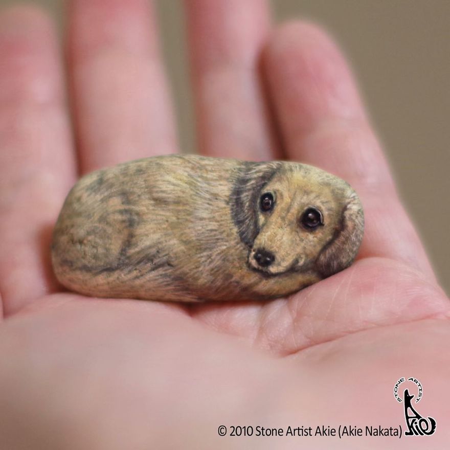 This Japanese Artist Turns Stones Into Art And The Result Is Incredible (New Pics)