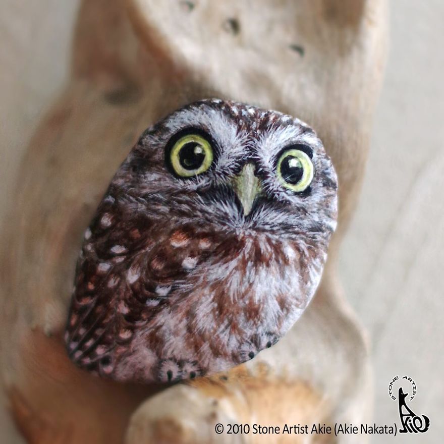 This Japanese Artist Turns Stones Into Art And The Result Is Incredible (New Pics)