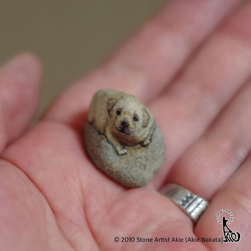 This Japanese Artist Turns Stones Into Art And The Result Is Incredible (New Pics)