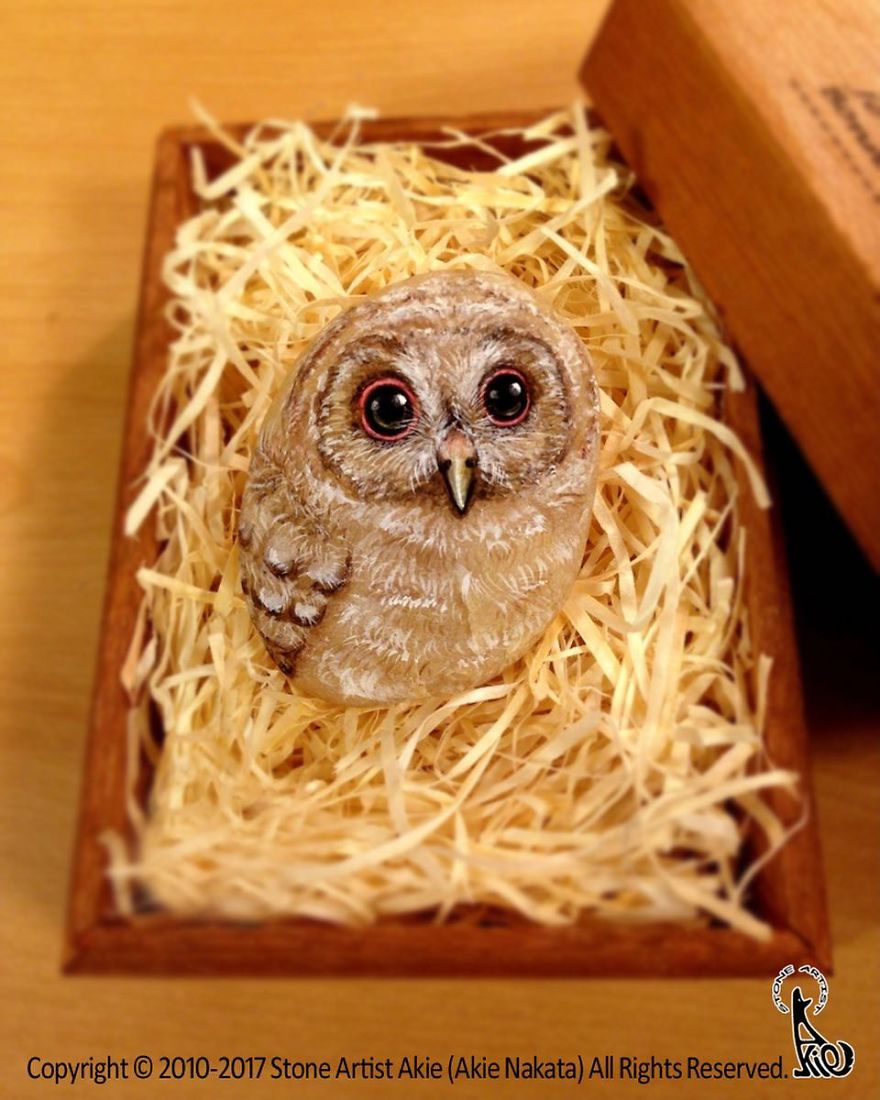 This Japanese Artist Turns Stones Into Art And The Result Is Incredible (New Pics)