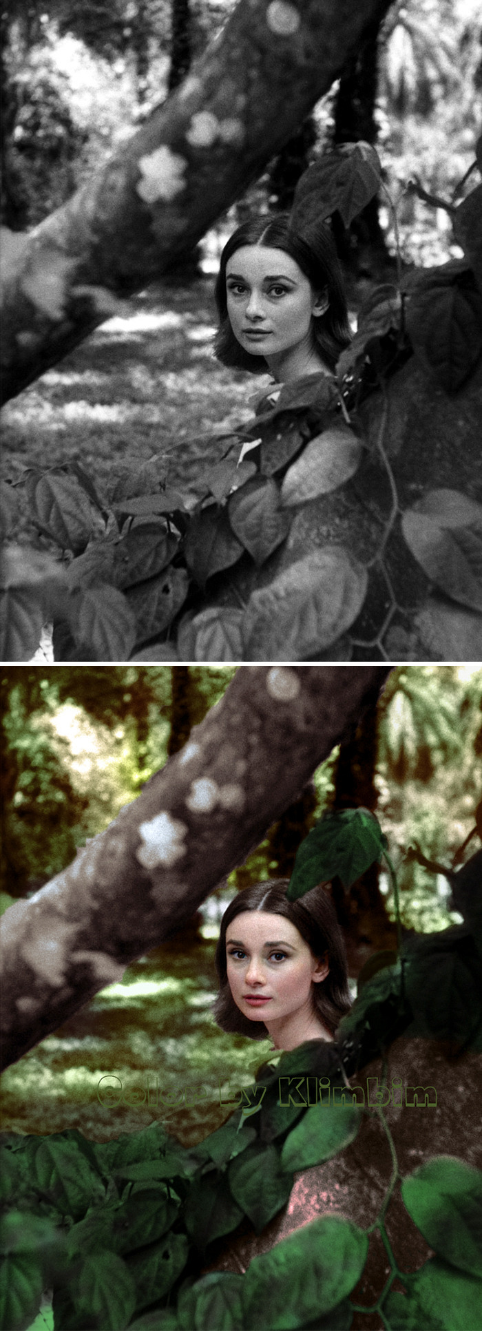 Black and colorized portraits of a classical Hollywood star surrounded by foliage, enhanced by a Russian artist's colorization.