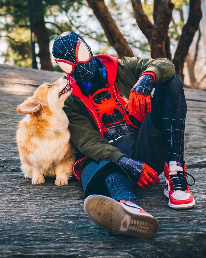 Guy Carries His Corgi In His Backpack, Brightens Everyone's Day As They Commute (31 Pics) Guy Carries His Corgi In His Backpack, Brightens Everyone's Day As They Commute (31 Pics)