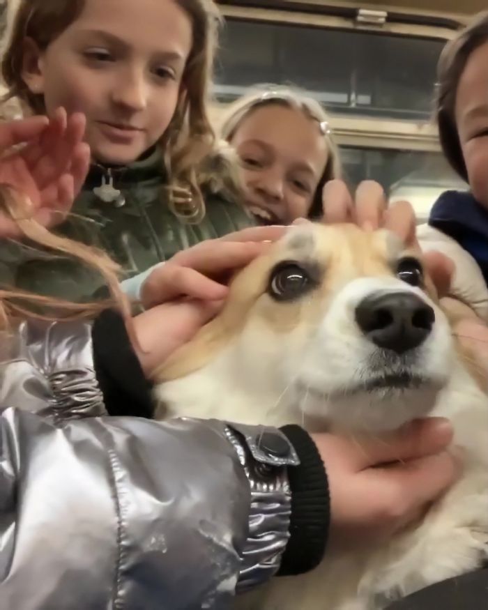 Guy Carries His Corgi In His Backpack, Brightens Everyone's Day As They Commute (31 Pics) Guy Carries His Corgi In His Backpack, Brightens Everyone's Day As They Commute (31 Pics)