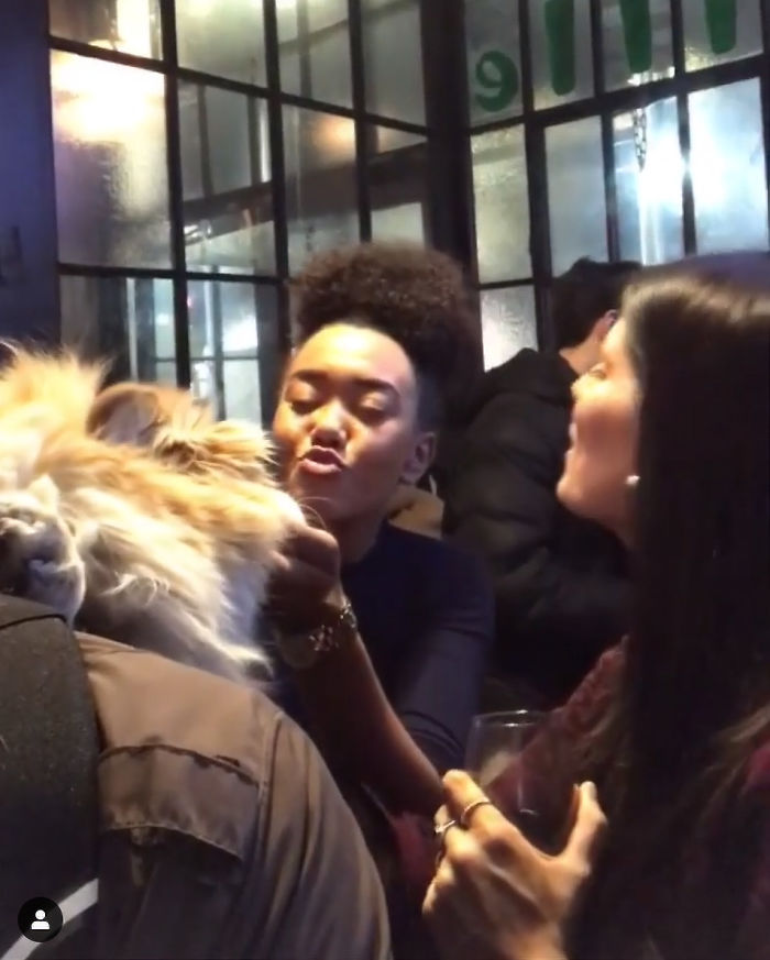 Guy Carries His Corgi In His Backpack, Brightens Everyone's Day As They Commute (31 Pics) Guy Carries His Corgi In His Backpack, Brightens Everyone's Day As They Commute (31 Pics)