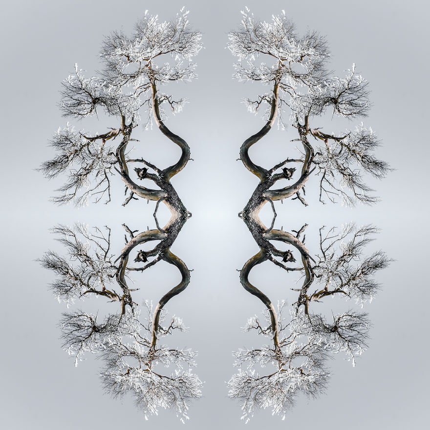 I Create Compositions Illustrating The Abstract Beauty Of Nature